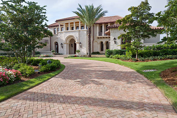 Best Driveway Paving Contractor  in Carrizozo, NM